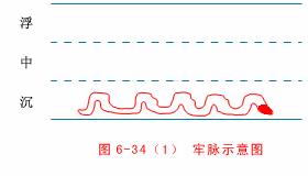 中医把脉入门必背口诀翻译,把脉入门必背口诀粤语版