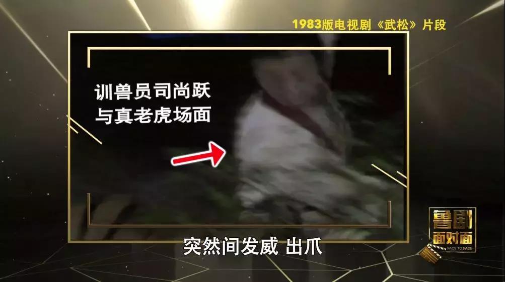 培根铸魂纪录片在线观看,面对面于漪培根铸魂