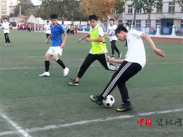 绿茵点亮梦想足球,绿茵足球点亮梦想