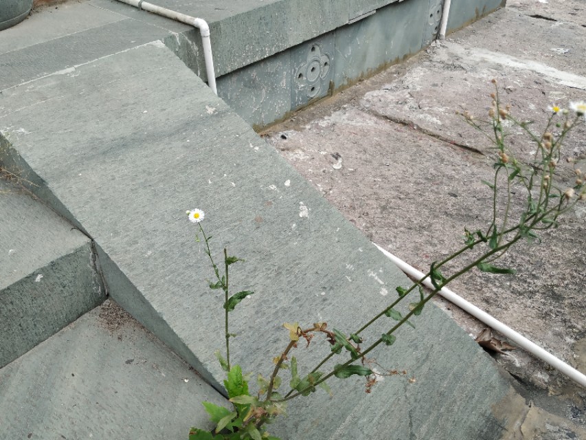 杭州古城门全景图,杭州十大古城门一日游