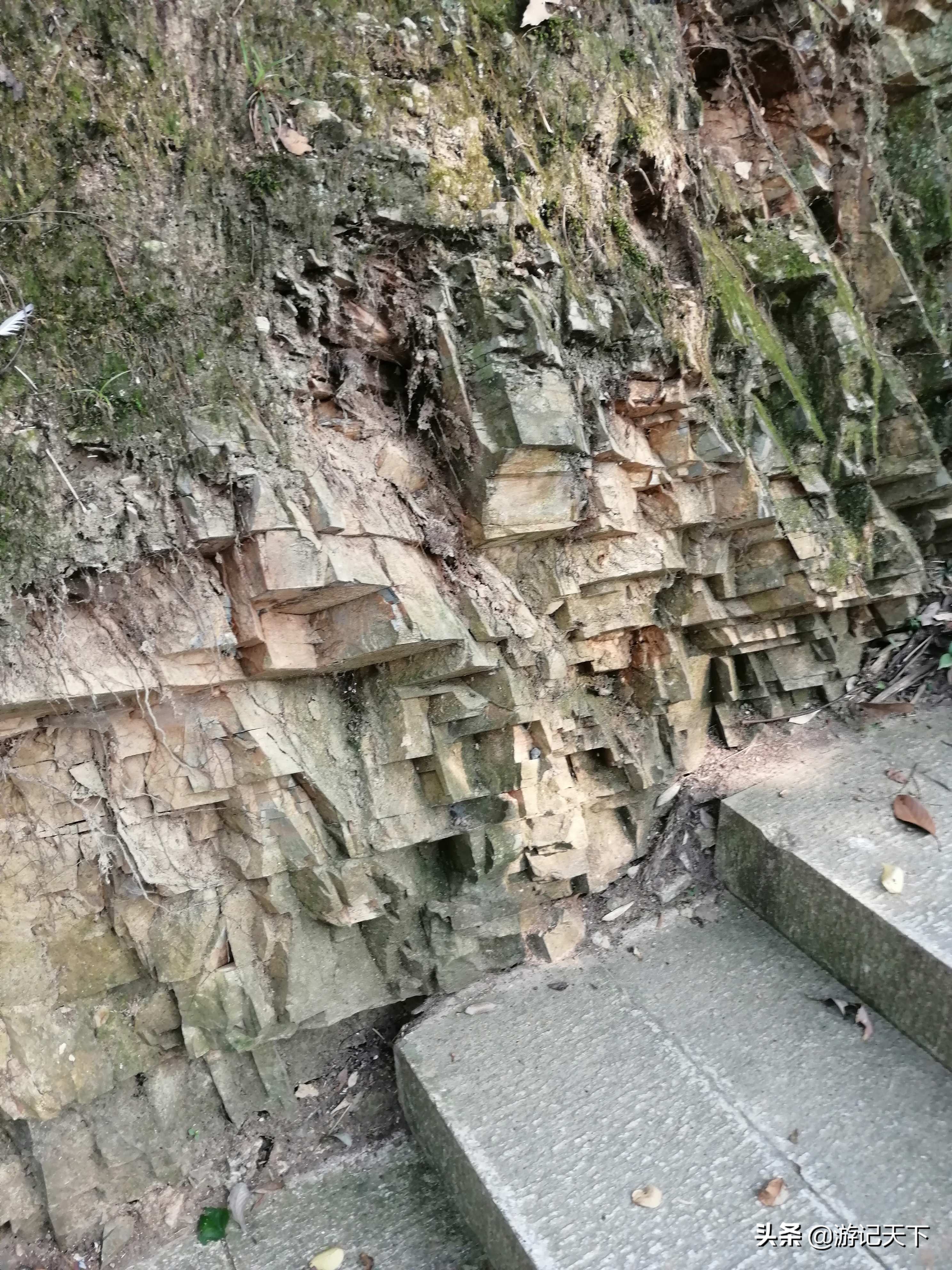 龙川新龙川,龙川东至龙川西