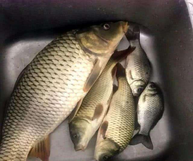 钓鱼新手渔具避坑,新手钓鱼为何运气好