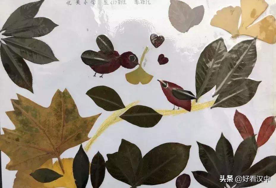 静谧之秋落叶有情汉中市北关小学树叶粘贴画展评