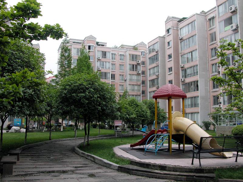 杨毫创业史,成都置信集团杨毫年龄