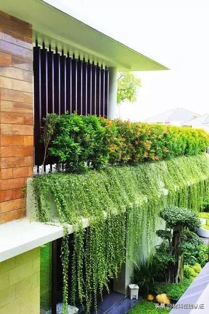 植物窗帘效果图大全,植物窗帘图案