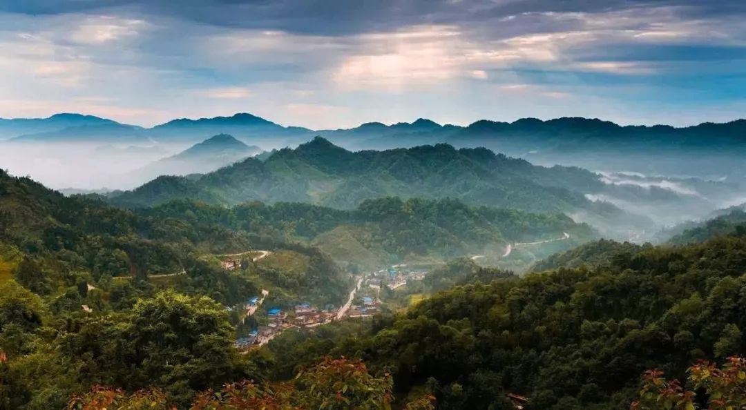 1h飚拢！千年银杏、云海星空、木屋烧烤……这条路线9……