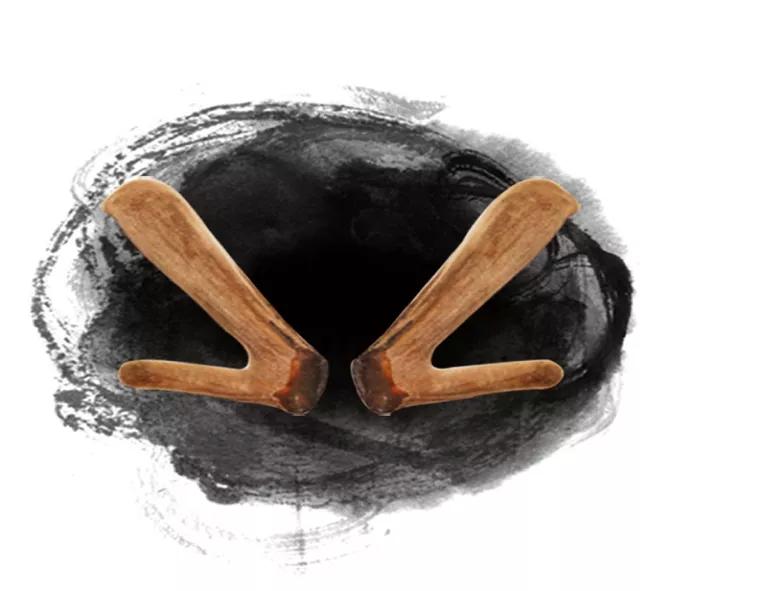 鹿茸滋补,鹿茸滋补最好的佳品是