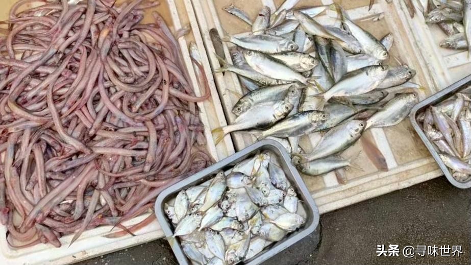 内行人买鱼,买鱼时内行人专买的5种鱼