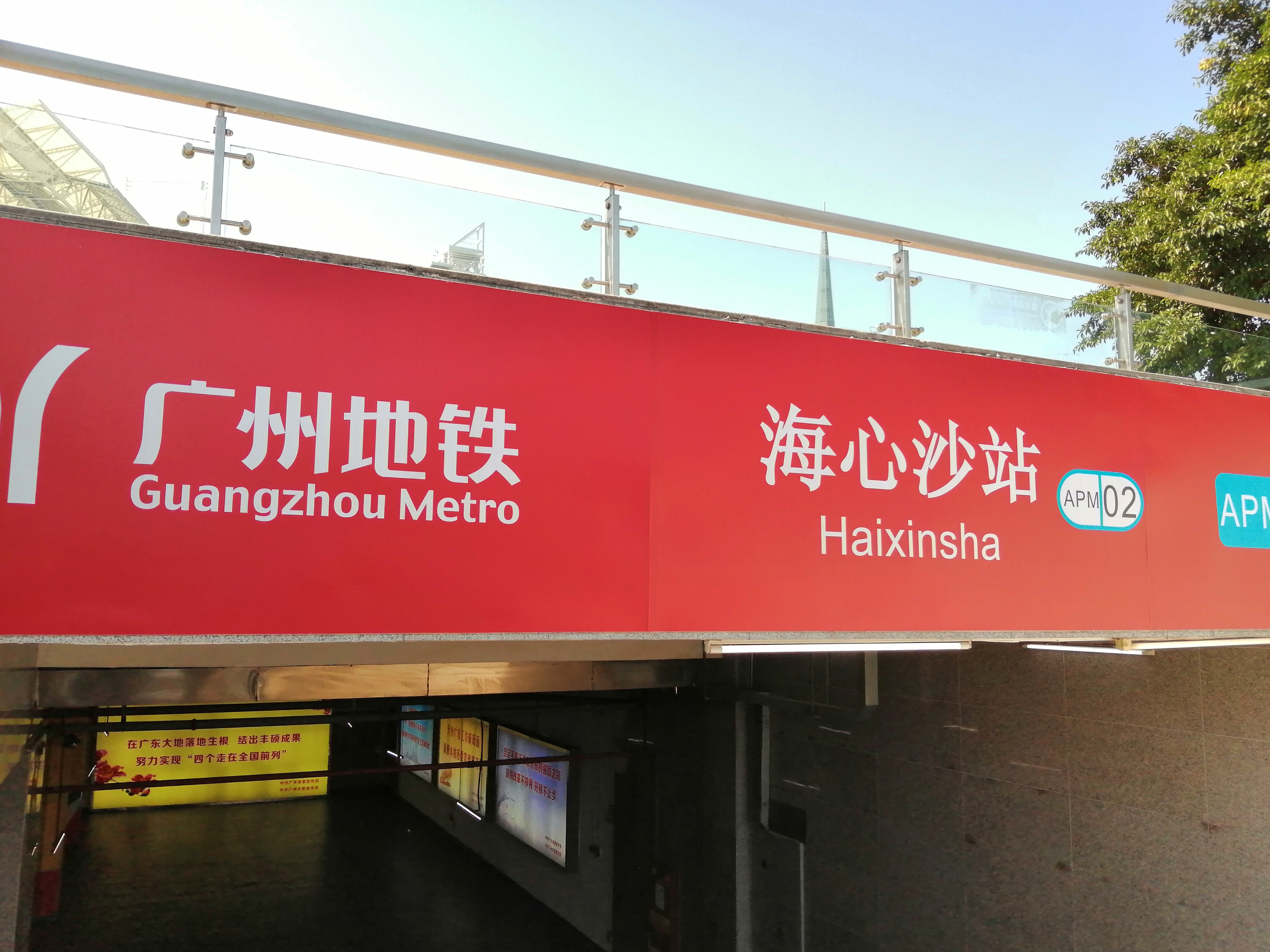 广州海心沙亚运公园广州塔格桑花,游广州海心沙公园