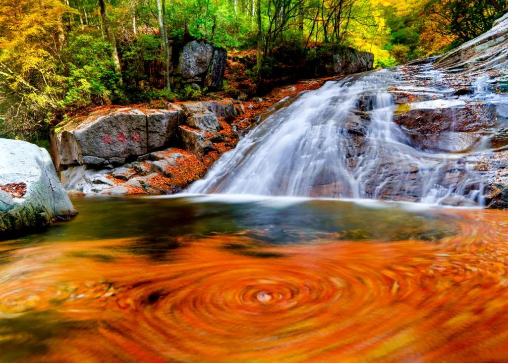 光雾山今天的红叶美景,光雾山红叶观赏全攻略