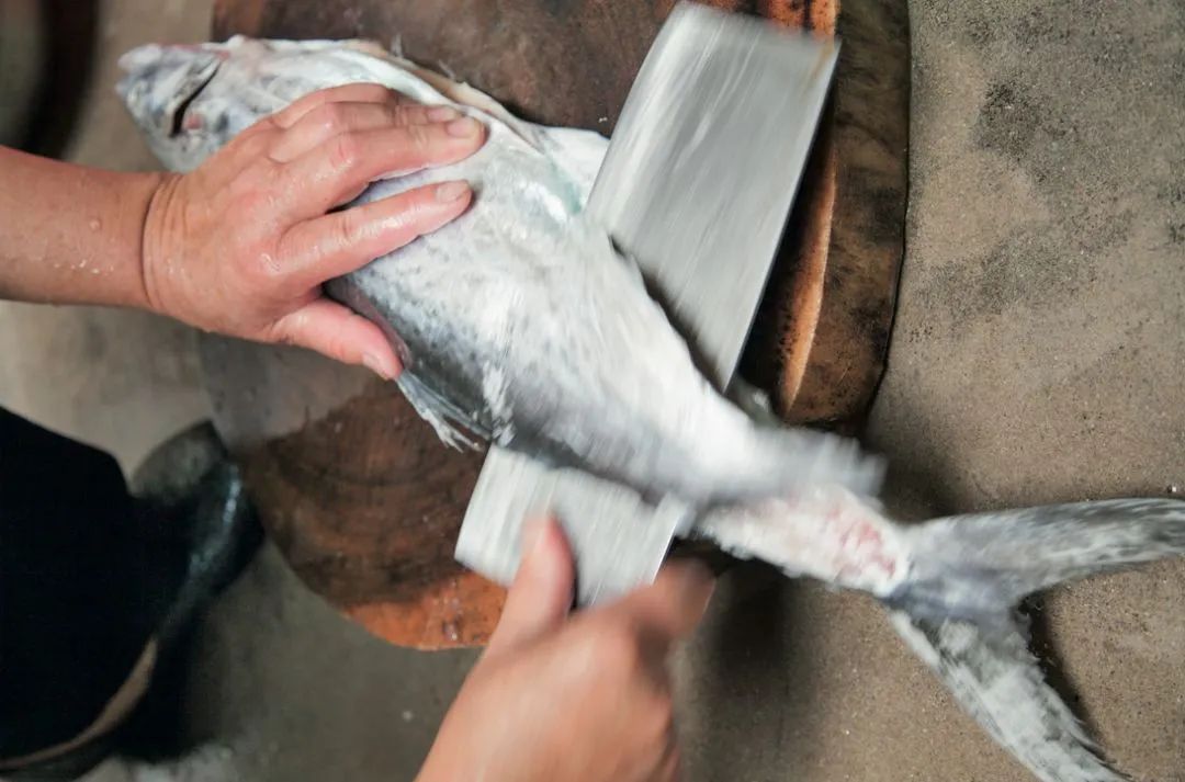 鱼儿食欲怎么样,鱼儿是怎么吃东西