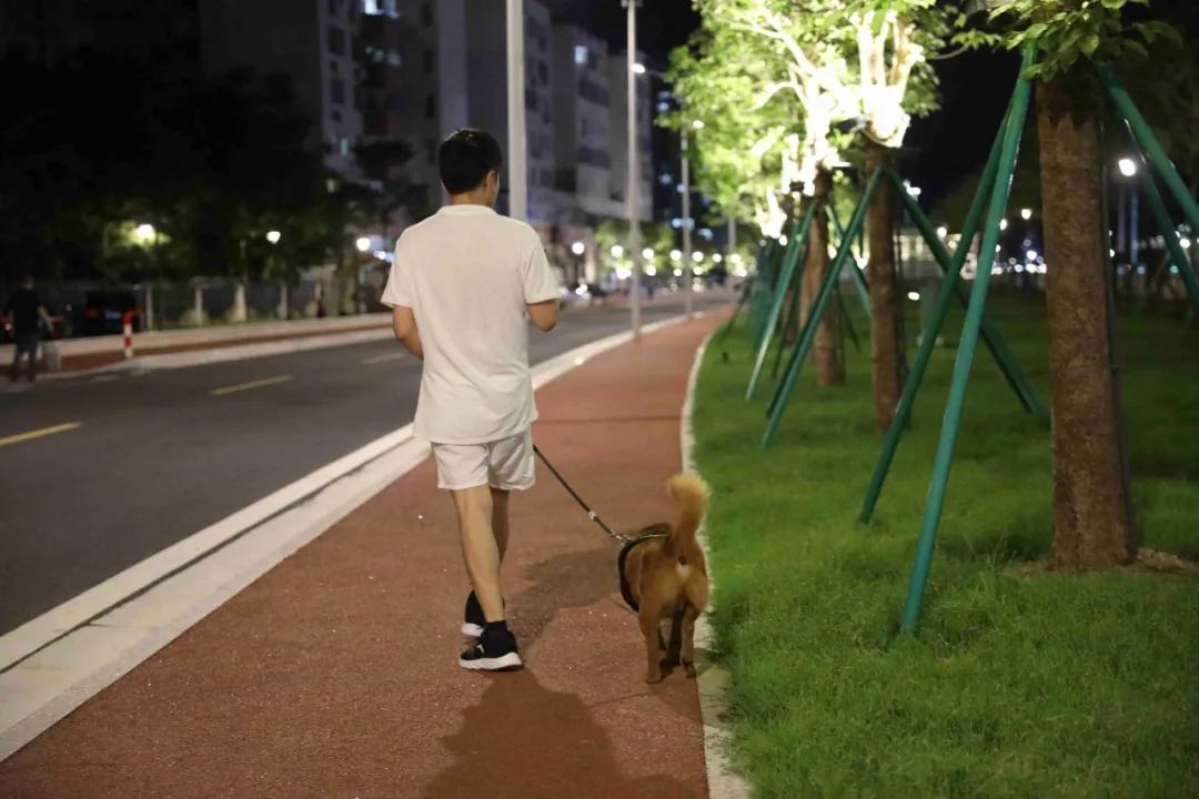 @三灶养犬人:这里有个活动与您有关