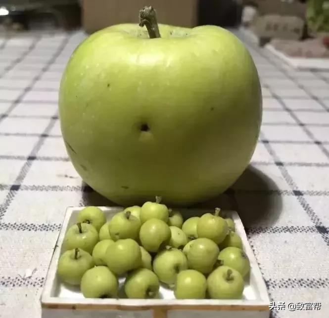 90后母亲被骗,90后妈妈因造假走红