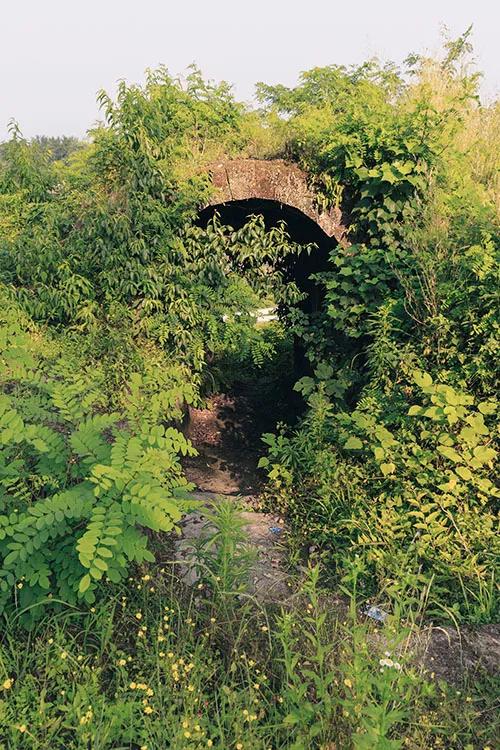 重庆市垫江县鹤游坪,垫江鹤游坪古镇