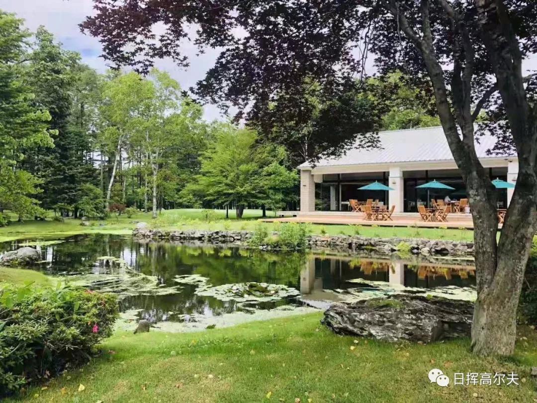 高尔夫球基本知识,高尔夫球规则和比赛技巧