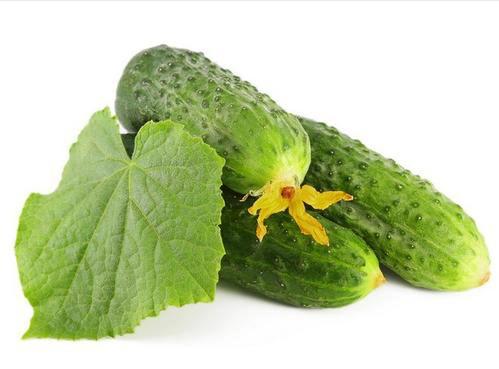 黄瓜绿色的为什么叫黄瓜搞笑视频,黄瓜是绿色的为什么叫黄瓜呢