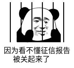 怎样才能看懂自己的征信报告,征信报告怎么看手把手教会你