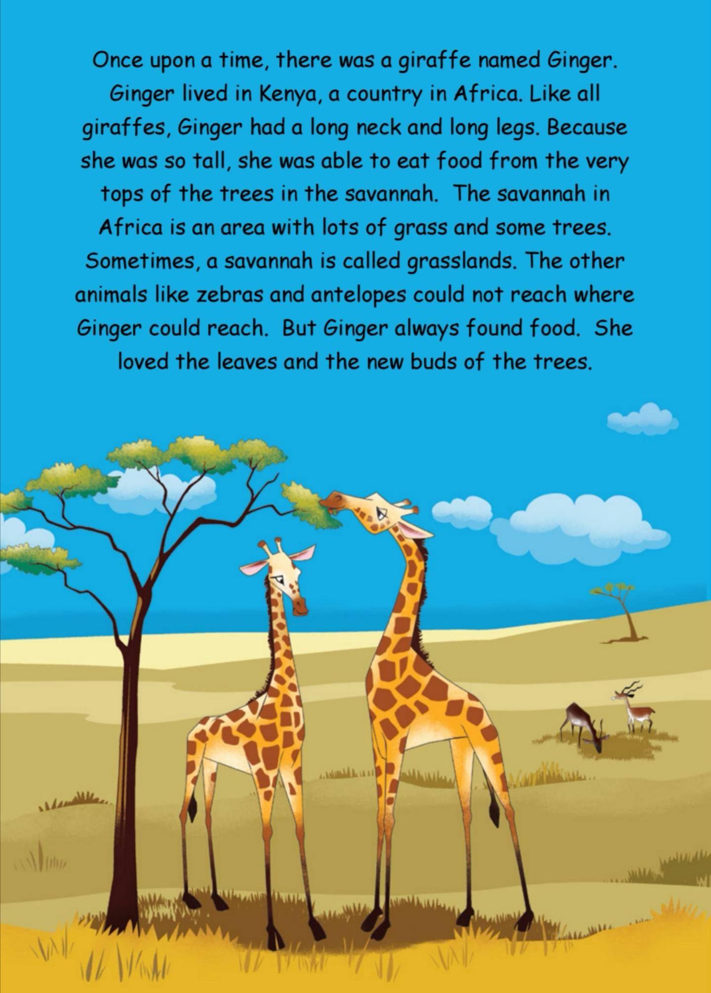 长颈鹿金杰绘本,长颈鹿绘本讲解视频