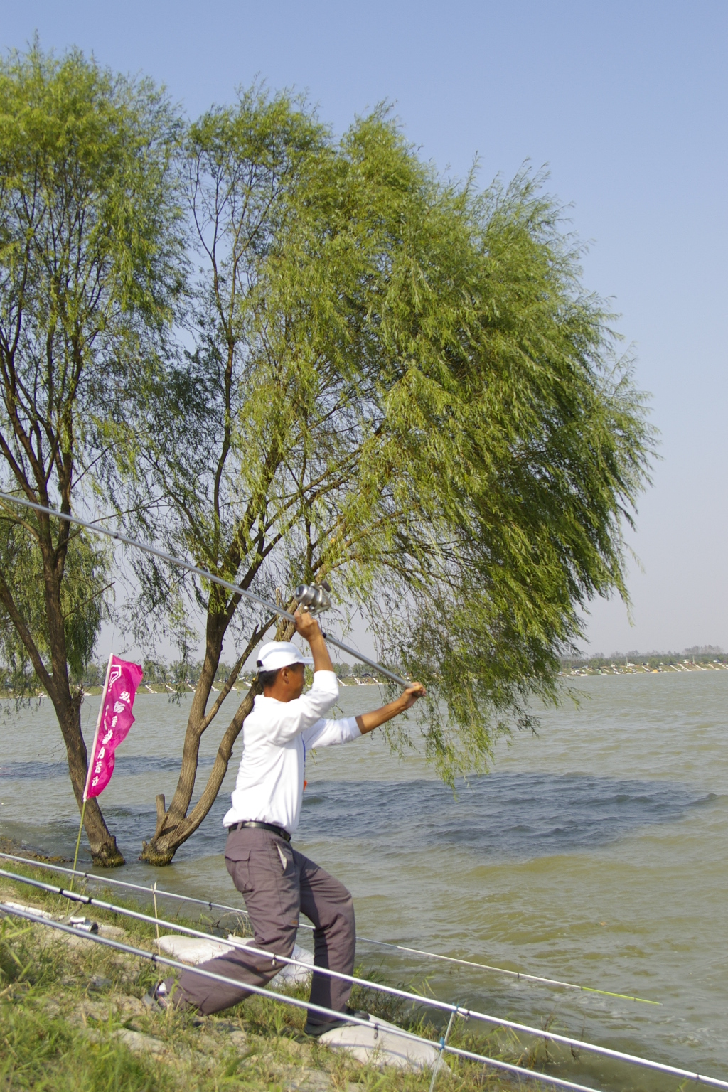 钓了这么多年的鱼,钓了这么多年鱼