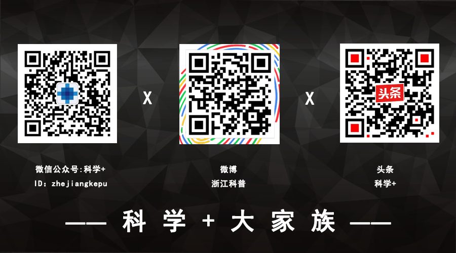 想带宠物上火车怎么办,想带狗狗出远门没车怎么办