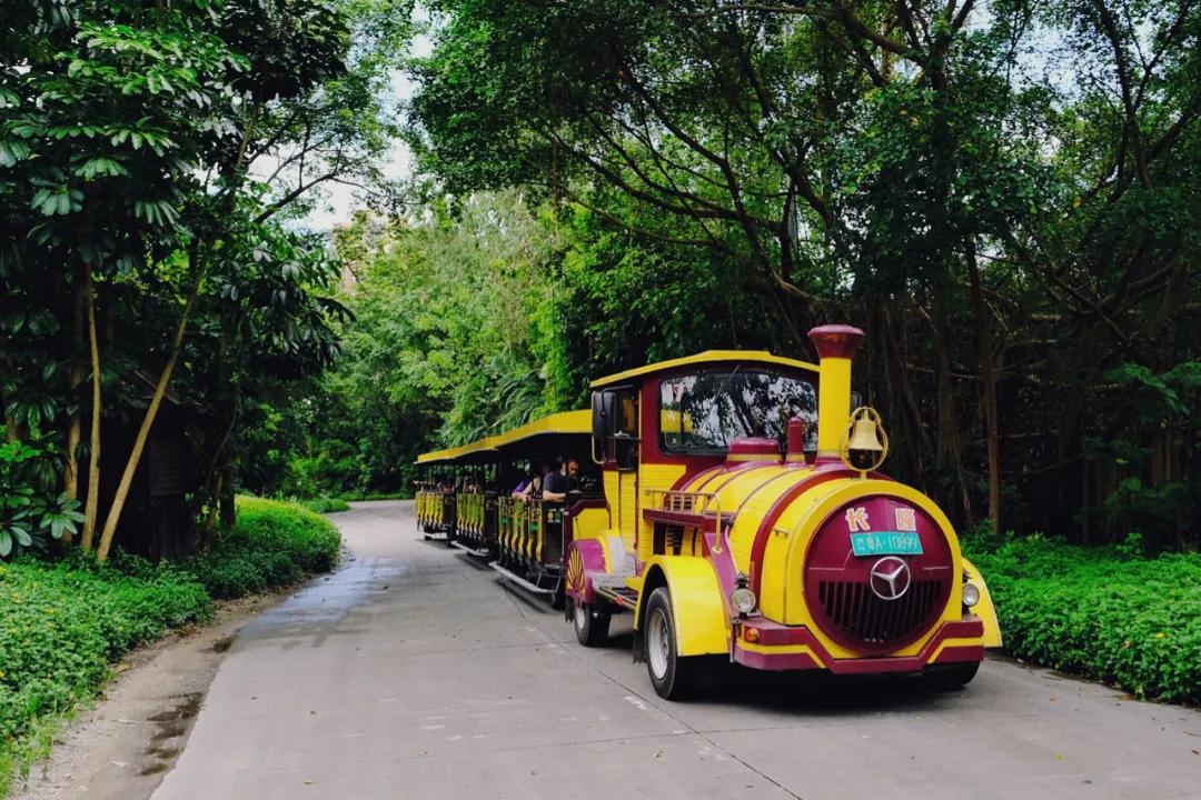 广州长隆攻略注意事项,广州长隆优惠攻略