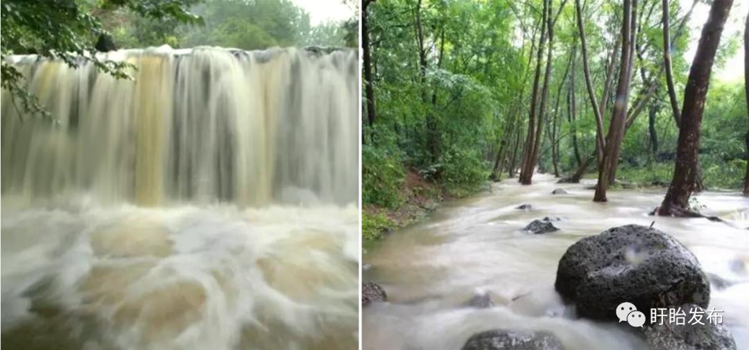 梅雨时节的铁山寺,这里藏着最美的风景