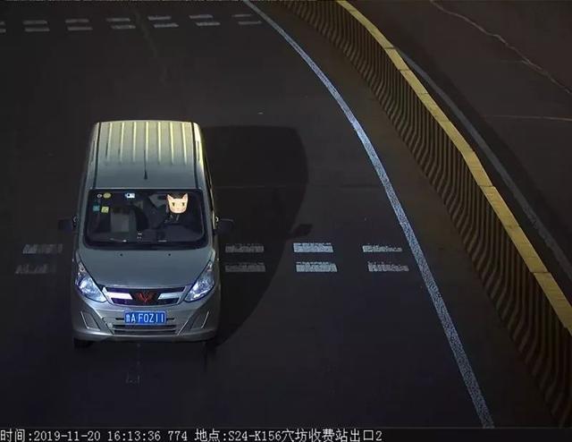 曝光！鲁B06B9V被罚款150元记2分！只因开车看手机