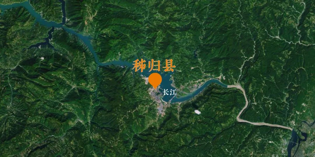 秭归夏橙和伦晚橙的区别,秭归伦晚帝王橙