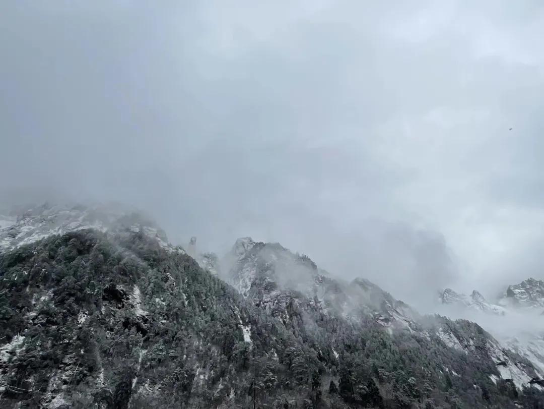 甲友心声2019,甲友心声向甲癌致谢