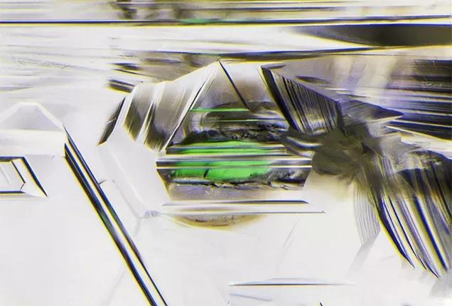 张雨绮最新消息 (张雨绮身价有多少)