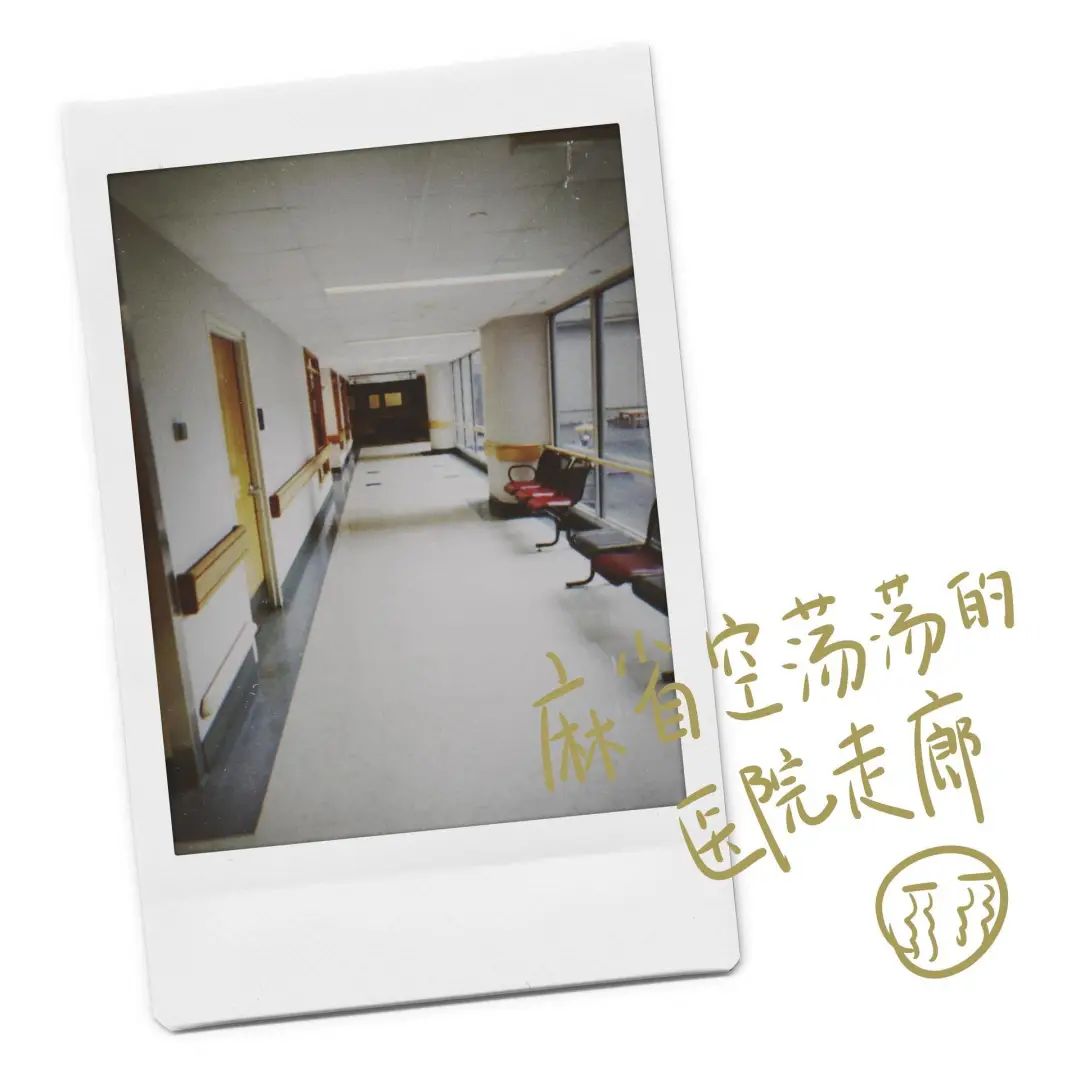 在国内的留学生现状,中国籍留学生失踪