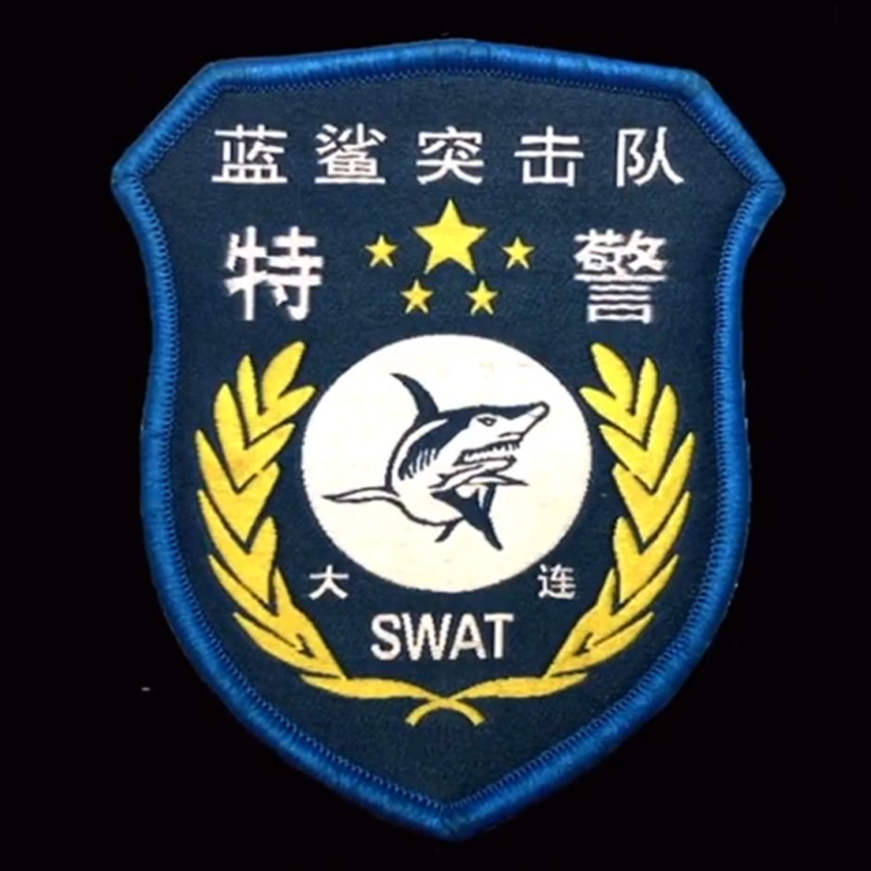全国各个城市特警队臂章,公安特警帅图