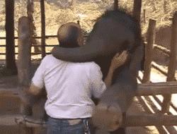 羊癫疯发作路人扶犯法吗,羊癫疯发作要不要叫醒他