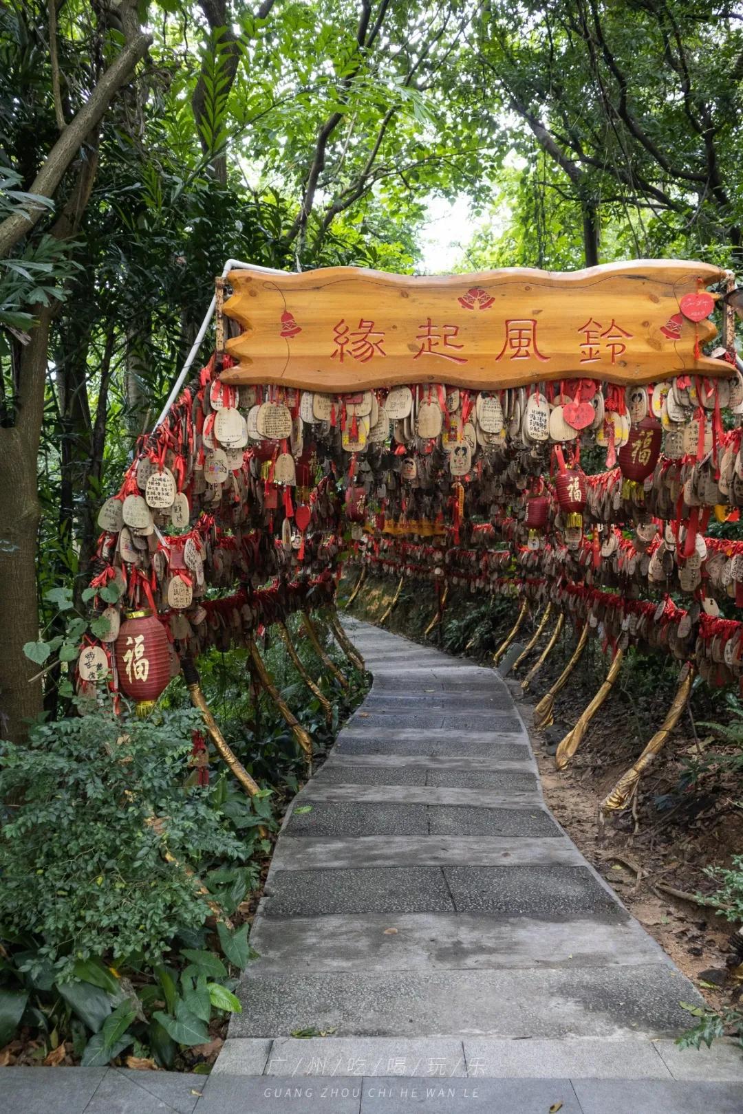 广州白云山滑道一日游,广州白云山懒人快速游玩时间