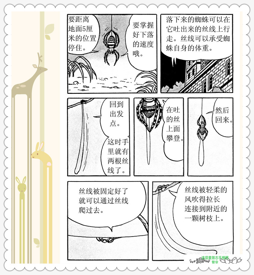 昆虫记法布尔动画片,昆虫记法布尔全套