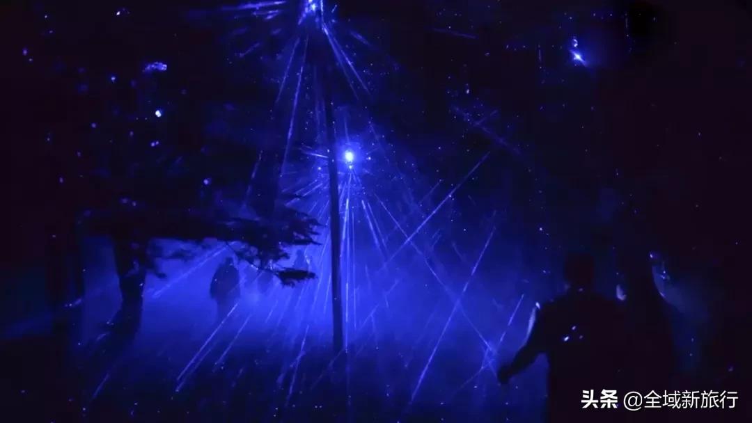 萤耀七夕心意行动|给你一生一次的心意动