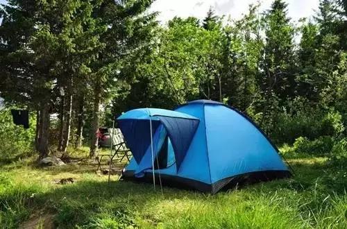 昆明周边适合露营的森林,昆明附近露营风景好