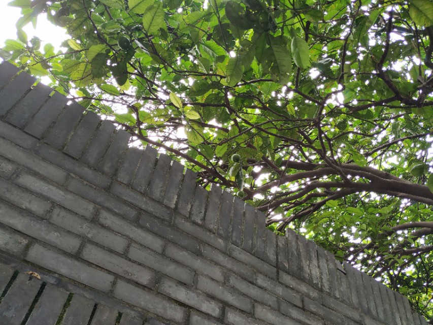 杭州古城门十门,杭州十大古城门