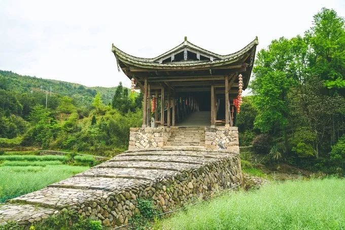 泰顺旅游自驾游景点推荐,浙南小九寨泰顺一日游