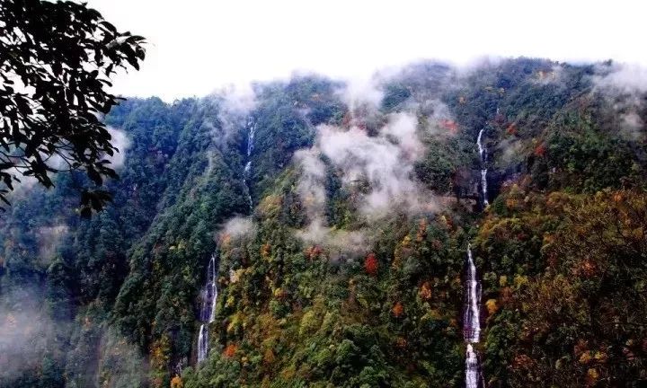 一泡而红！四川这座小城已火向全球，今天万人齐聚！