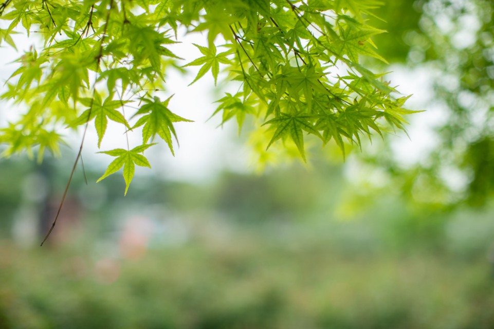 灏煎悍df3000,灏煎悍DF娴嬭瘎