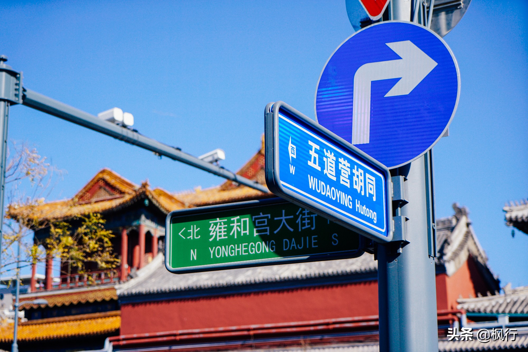 北京18个看银杏的好地方在哪,北京八大处看银杏攻略