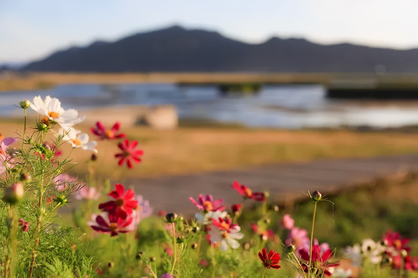 北疆四季,北疆的四季美景