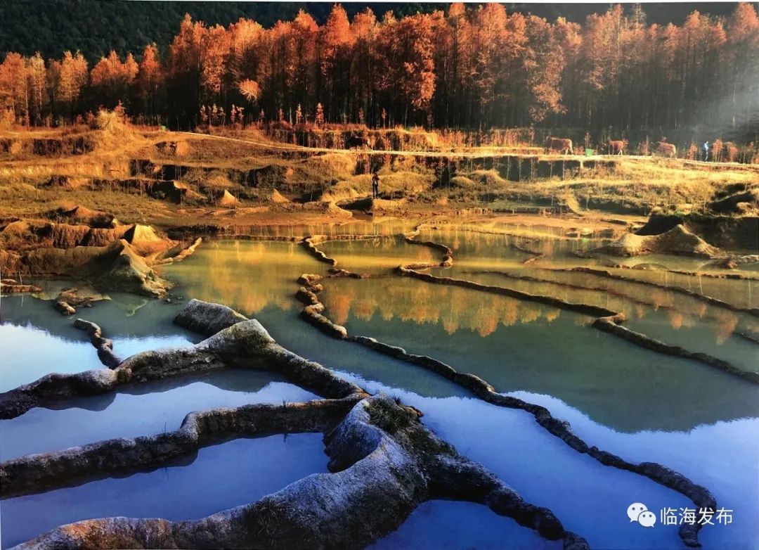 宁波最隐藏的海岛,被浙江人私藏的江南小城