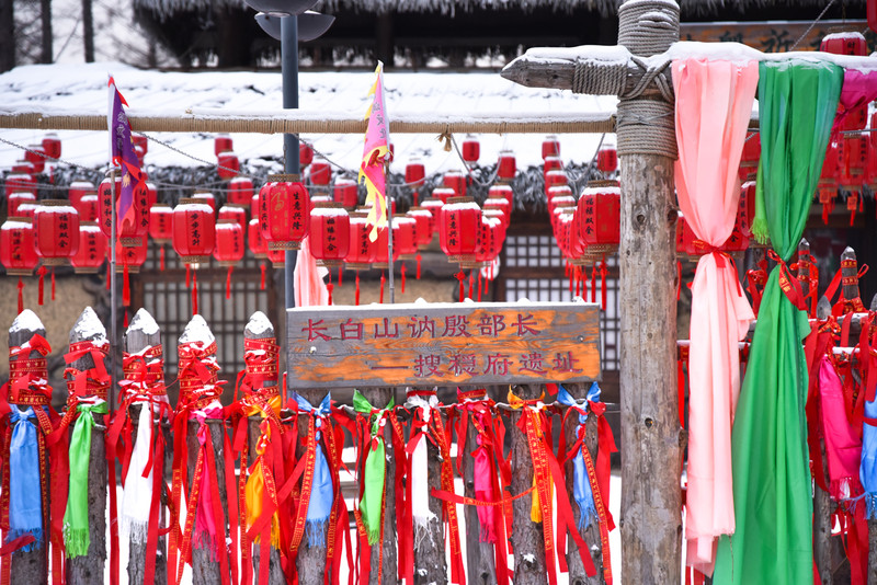 冰雪总动员简介,冰雪总动员