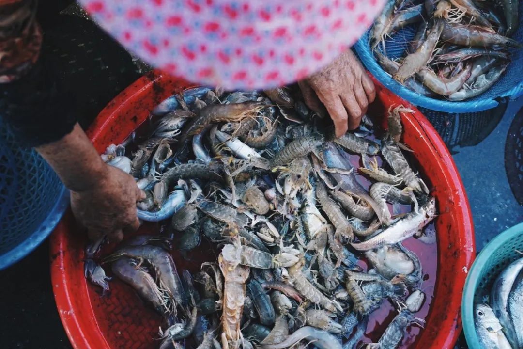 年度最爱美食胜地：潮汕（不接受反驳）