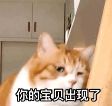 这所高考成绩逐年攀升的老牌四星高中,了解一下