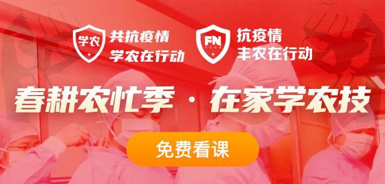 金银花如何定植？多久可以开花？如何剪枝定型？从5方面来介绍