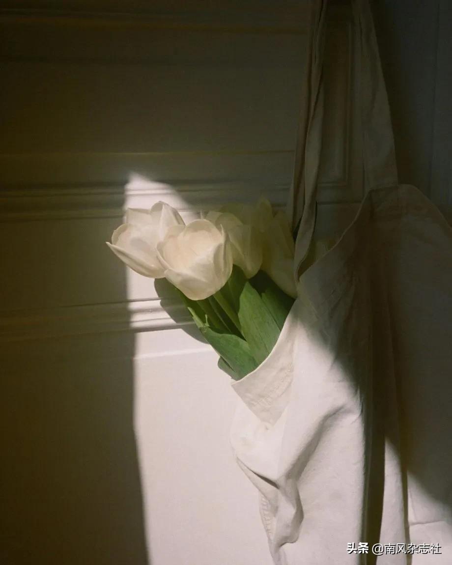 后来才明白爱情只是锦上添花,所有的爱情源自天时地利