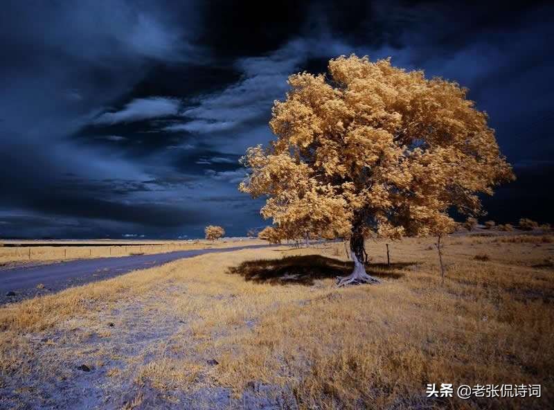 百家讲坛纳兰性德我是人间惆怅客,纳兰性德我是人间惆怅客什么意思